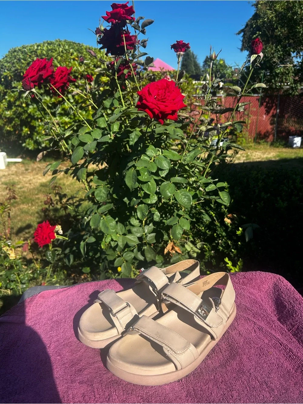 Dream Pairs Women’s Beige Slide Sandals with Buckle Straps Size 8.5